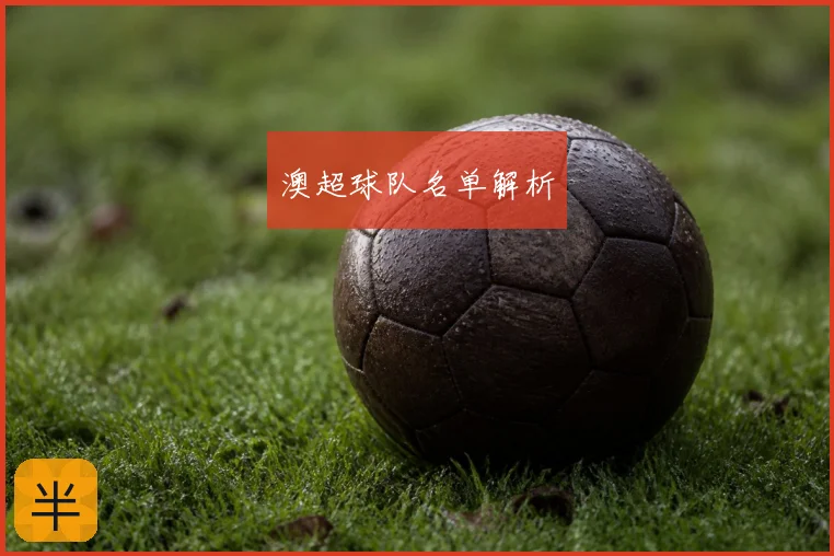 澳超球队名单解析
